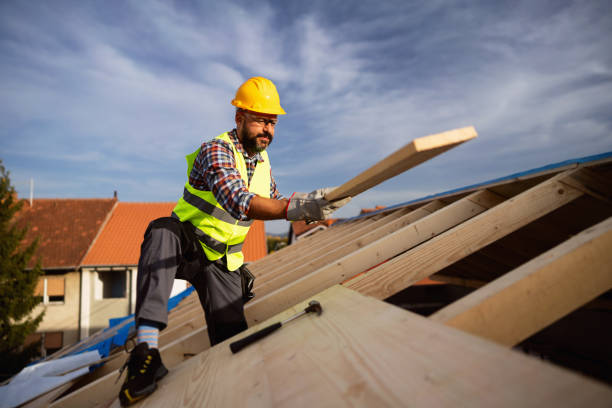 Best Roof Moss and Algae Removal  in Dripping Springs, TX